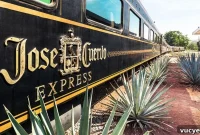 All-You-Can-Drink Tequila Train: Your Ultimate Party Ride