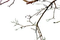 When Everything’s Stripped Away: Finding Strength and Purpose