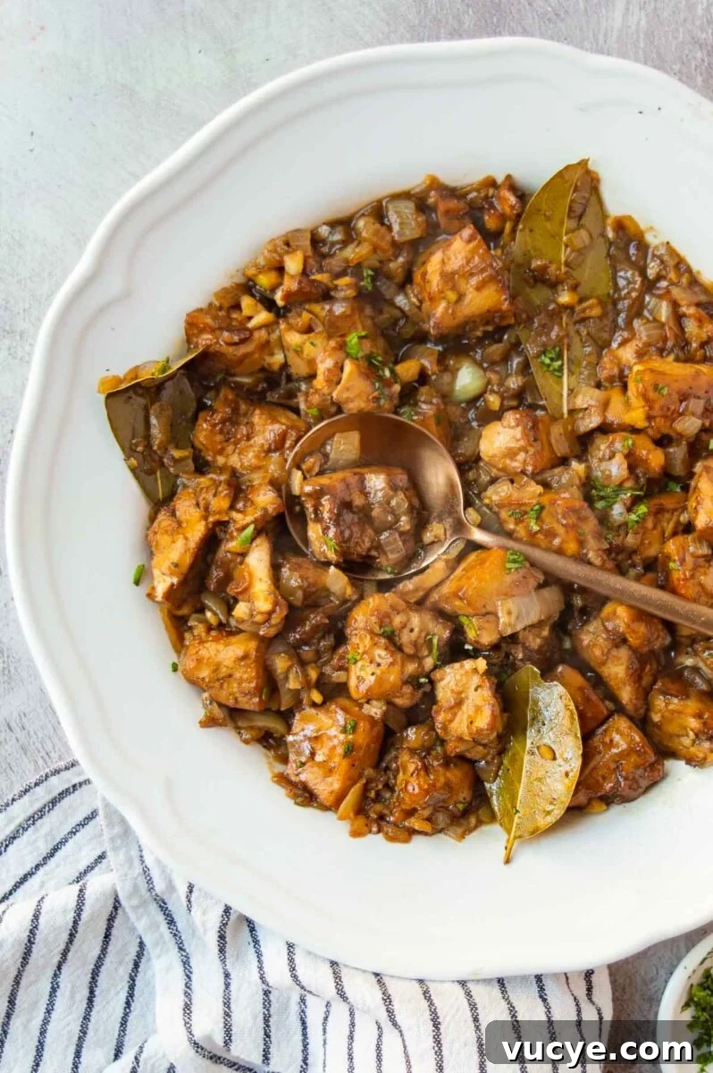 Vegan Tofu Adobo Recipe: Tangy Filipino-Style Comfort Food 2 Top-down view of a white bowl with chunks of tofu in a dark brown thick adobo sauce.