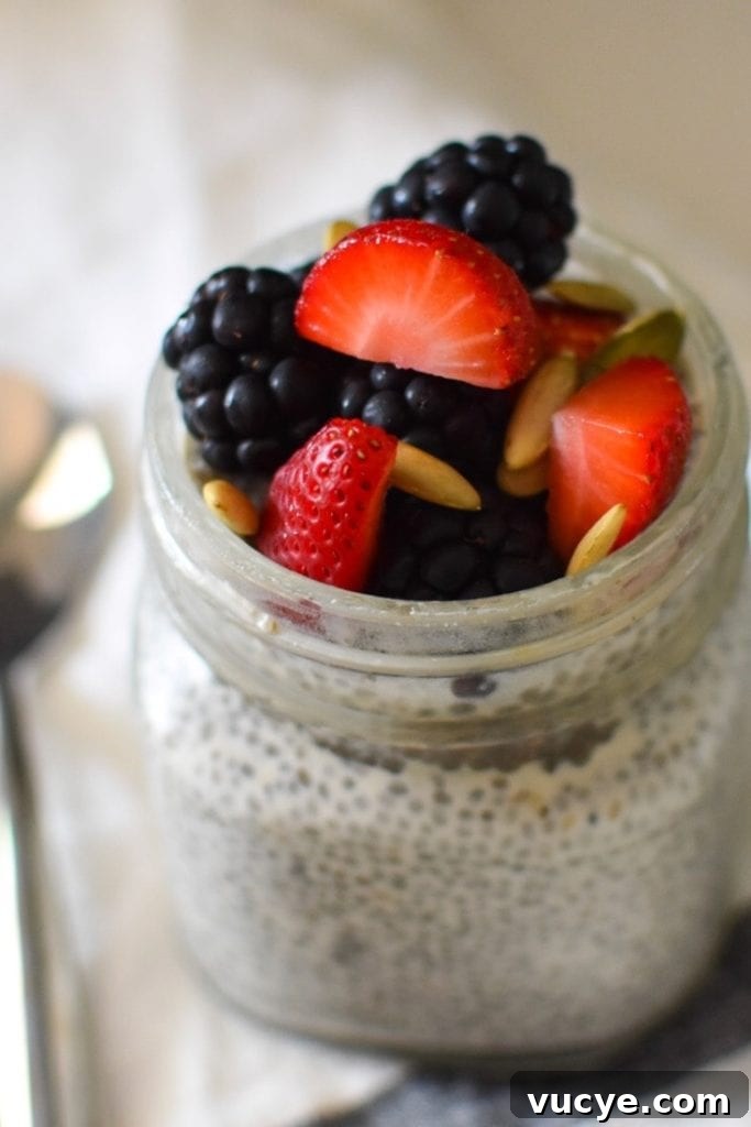 Creamy Vanilla Chia Pudding Recipe for Breakfast or Dessert 4 Simple Vanilla Chia Seed Pudding with Berries and Seeds