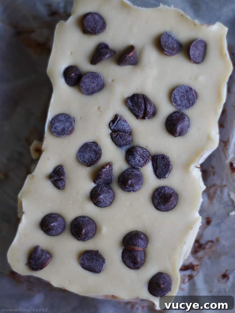 Raw Chocolate Chip Slice (Free From: dairy, gluten & grains, refined sugar)
