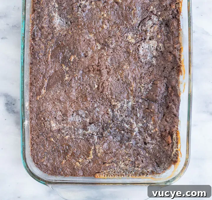 German Chocolate Dump Cake Recipe: Quick Gooey Chocolate Coconut Cake 5 easy German chocolate cake after it finishes baking