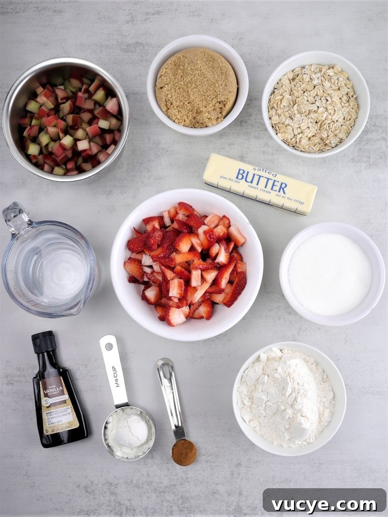 Amish-Style Strawberry Rhubarb Crisp Recipe 3 img 11082 2