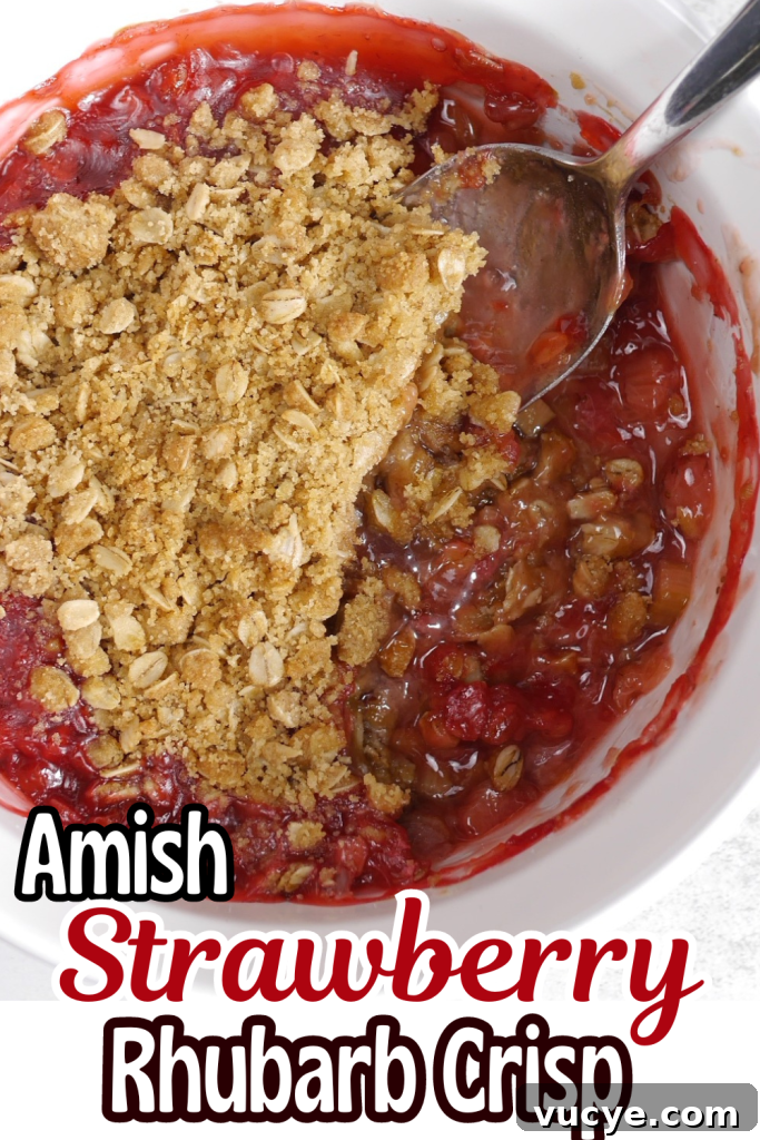 Amish-Style Strawberry Rhubarb Crisp Recipe 6 img 11082 6