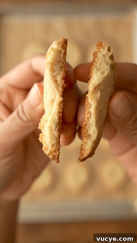 Close-up of cookies