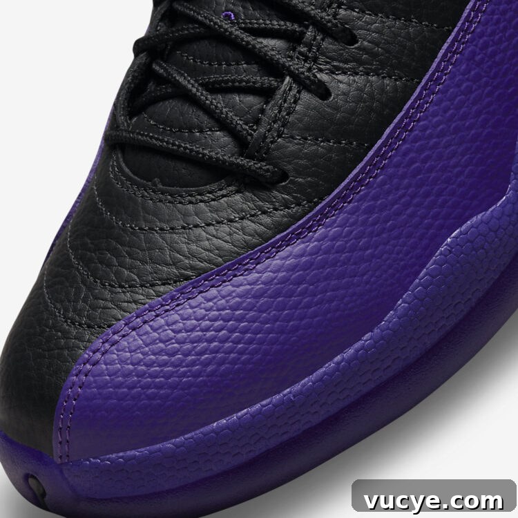 Air Jordan 12 "Field Purple" CT8013-057