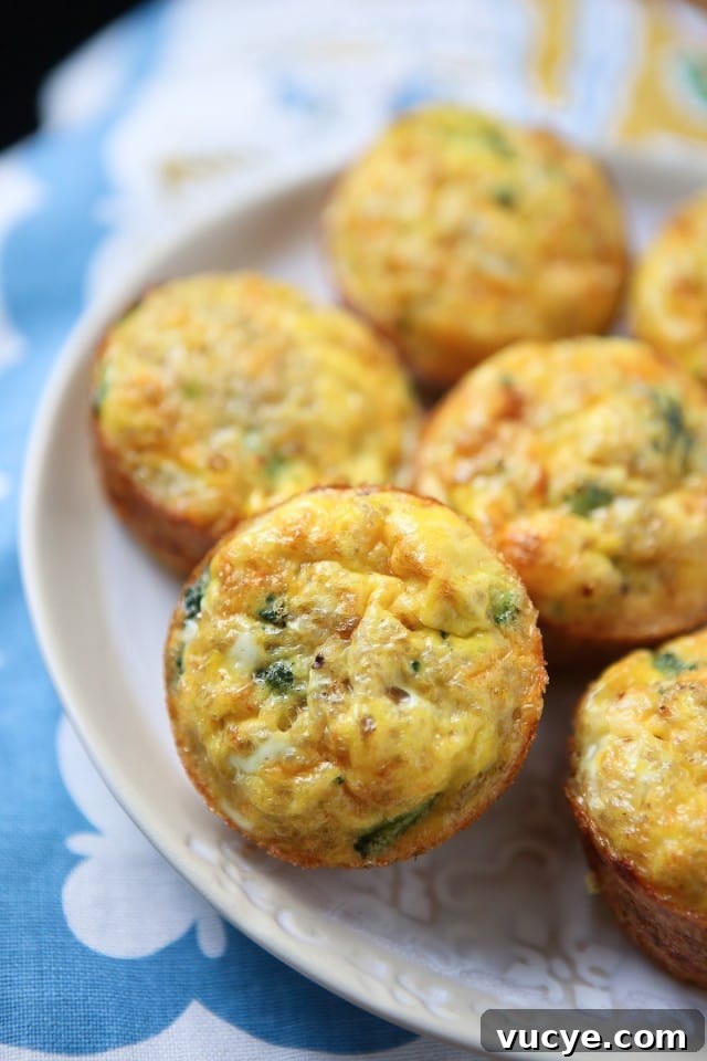 Broccoli Cheese Frittata Muffins - this recipe is so versatile, my family loves having them ready in the fridge for quick snacks or breakfasts!