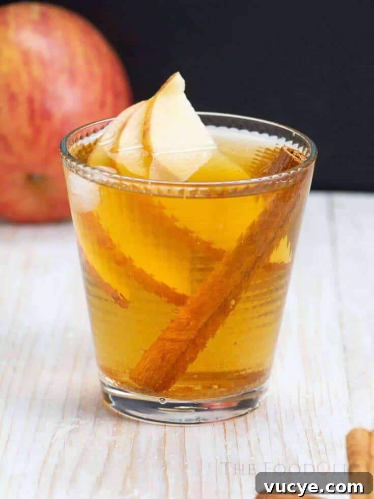 A spiced apple spritz cocktail garnished with apple slices and a cinnamon stick.