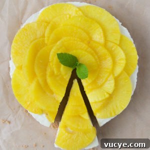 No-Bake Pineapple Cheesecake Recipe: Creamy Tropical Dessert 14 img 1195 13