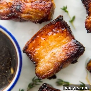 Crispy Air Fryer Pork Belly Bites — Quick Savory Recipe 13 img 12231 12