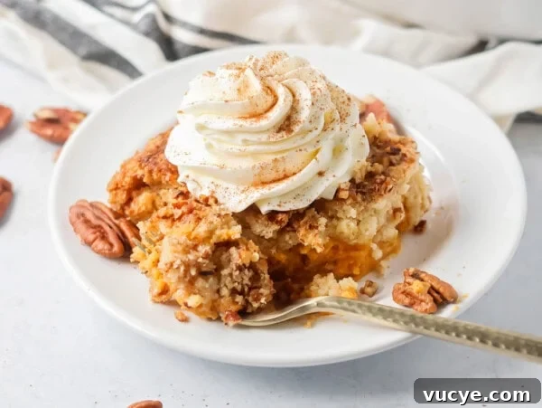 Ultimate Pumpkin Crunch Cake Recipe for Fall Dessert 12 Pumpkin Dump Cake slice on white plate with whipped cream on top.