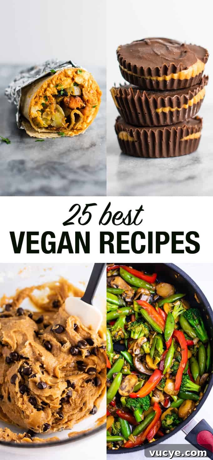 25 Top Vegan Recipes for Every Meal 2 25 of the BEST vegan recipes - everything from vegan breakfast to vegan desserts, vegan dinners, and more! #vegan #bestveganrecipes #dairyfree #vegetarian #veganbreakfast #vegandinner