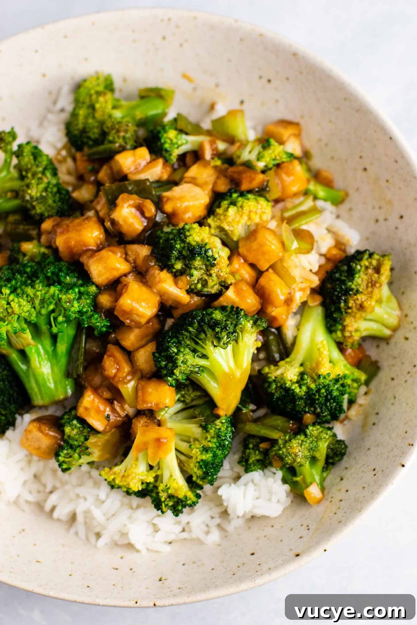 25 Top Vegan Recipes for Every Meal 14 best vegan recipes - Broccoil tofu stir fry – so easy and tastes amazing!