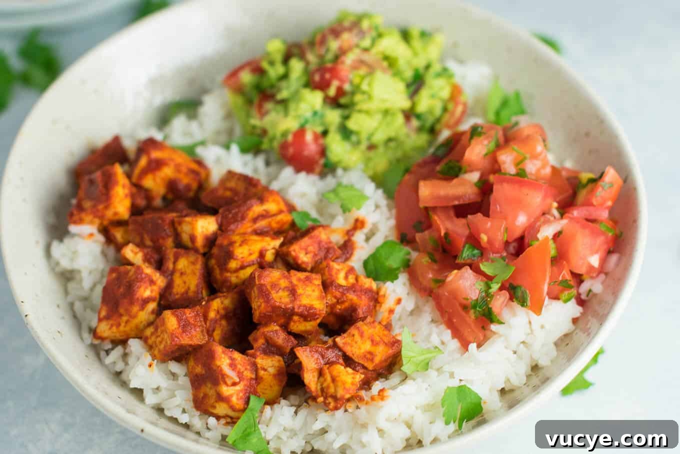 25 Top Vegan Recipes for Every Meal 24 best vegan recipes - Easy enchilada tofu burrito bowls with homemade guacamole and salsa.