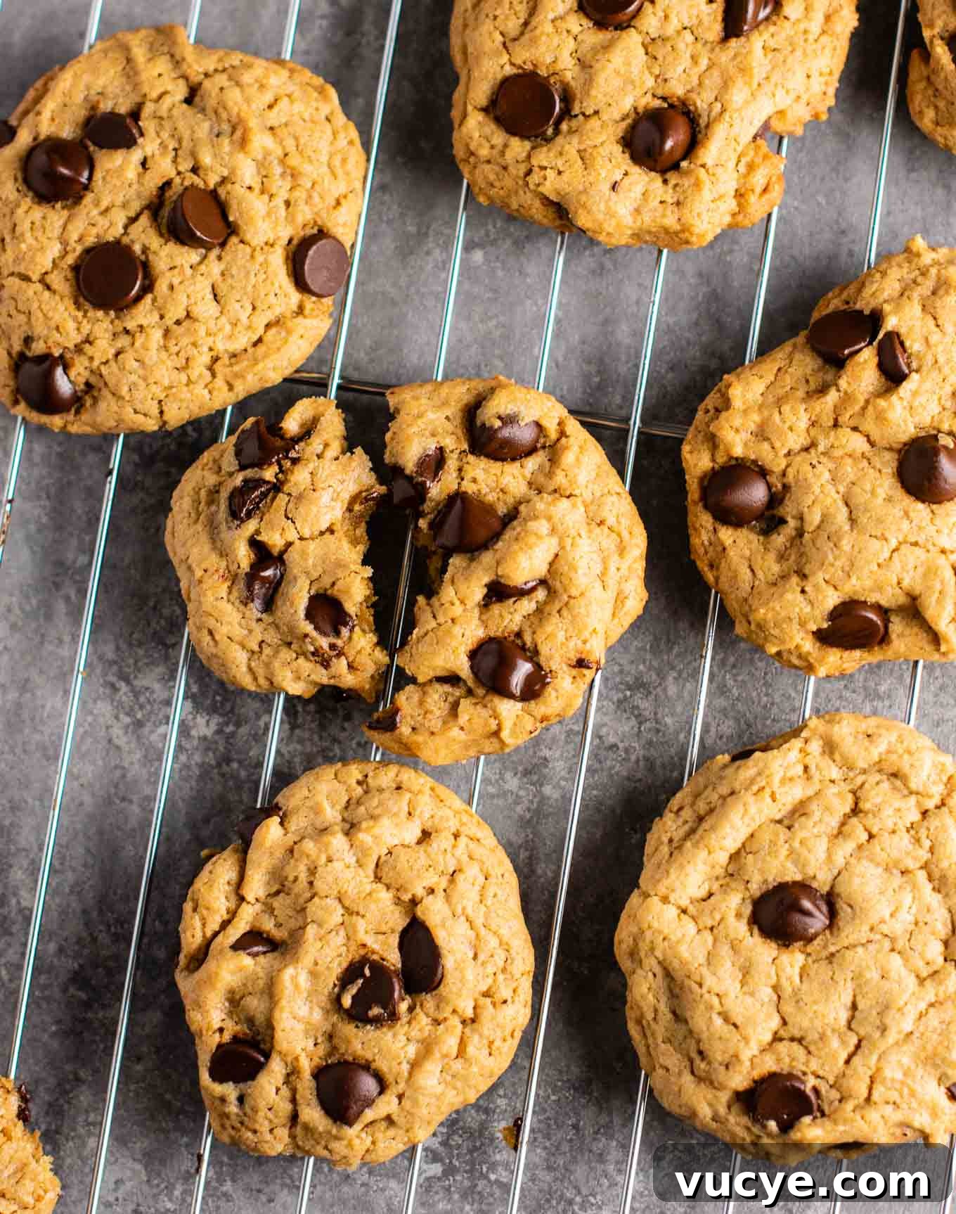 25 Top Vegan Recipes for Every Meal 5 best vegan recipes - The best vegan chocolate chip cookies recipe - so chewy and rich, you would never guess they don't have any eggs or dairy in them!