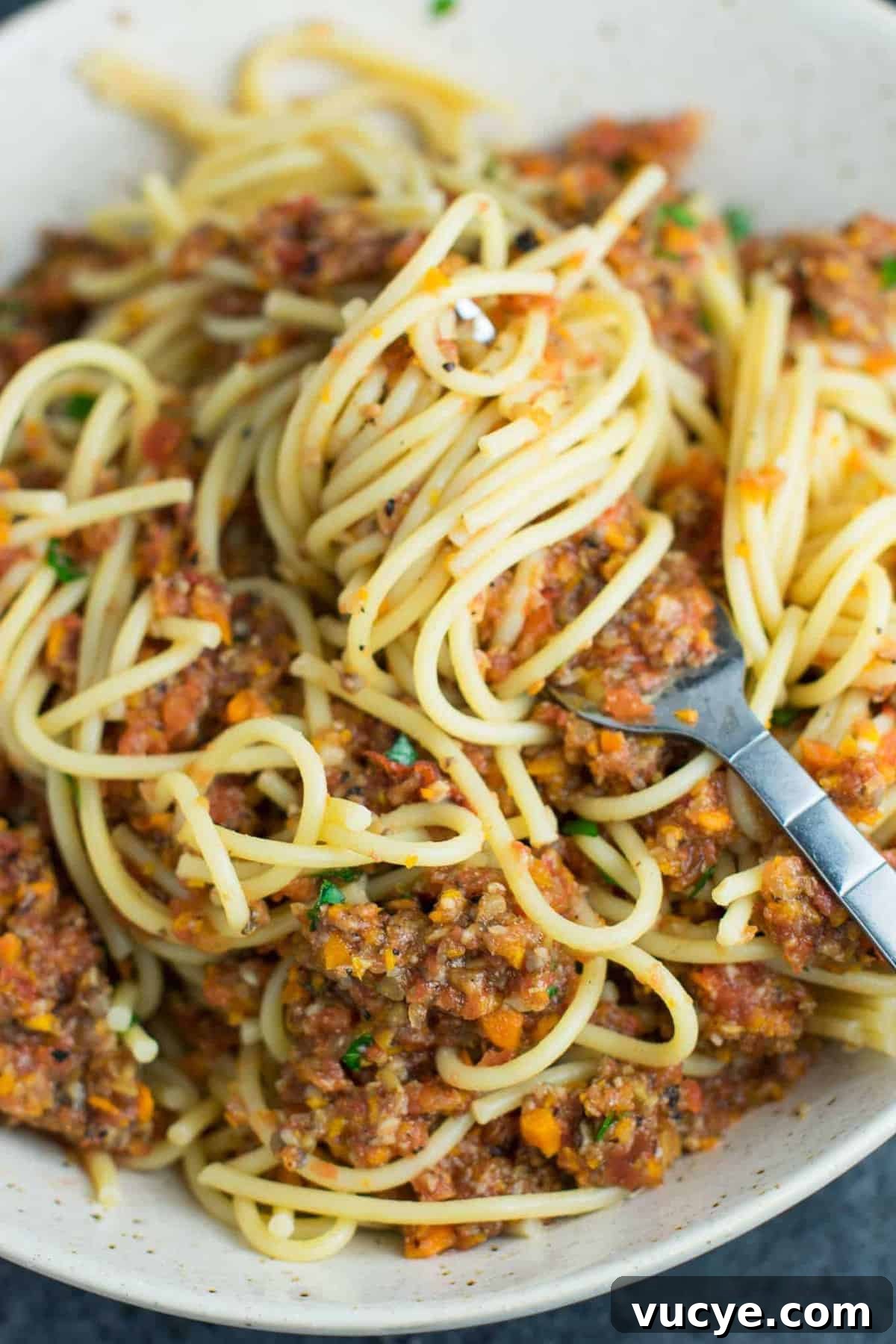 25 Top Vegan Recipes for Every Meal 9 best vegan recipes - Vegetable bolognese recipe made with mushrooms, carrots, celery, garlic, and onion.