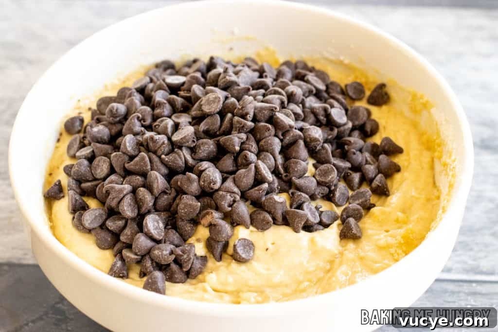 chocolate chips added