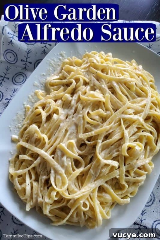 Olive Garden Alfredo Sauce Recipe with Video Guide 2 Olive Garden Alfredo Sauce mixed with fettuccine noodles on a white platter with a white and blue napkin behind it.
