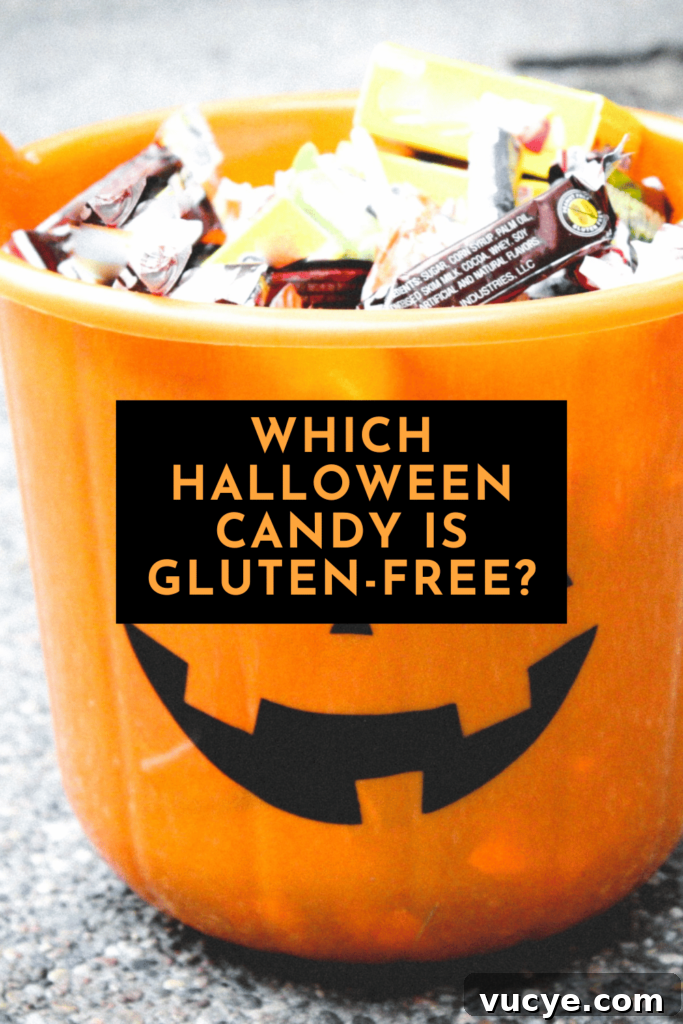 Gluten-Free Halloween Treats and Activities for Kids 5 img 14212 4