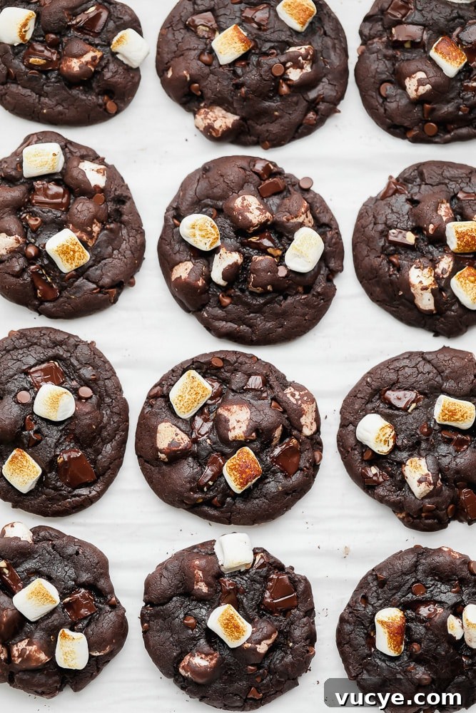 Chewy Chocolate Marshmallow Cookies with Gooey Centers 5 rows of baked chocolate marshmallow cookies on parchment paper