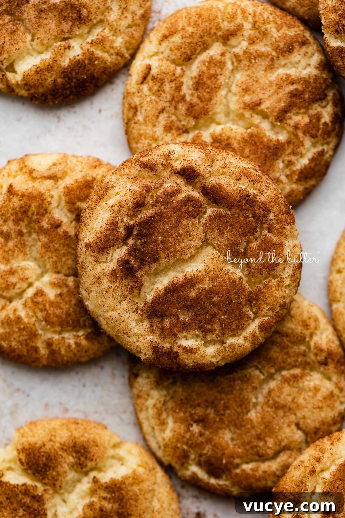 Classic Chewy Snickerdoodle Cookie Recipe for Perfect Cinnamon Cookies 6 Snickerdoodle cookies on a parchment paper lined baking sheet | © Beyond the Butter®