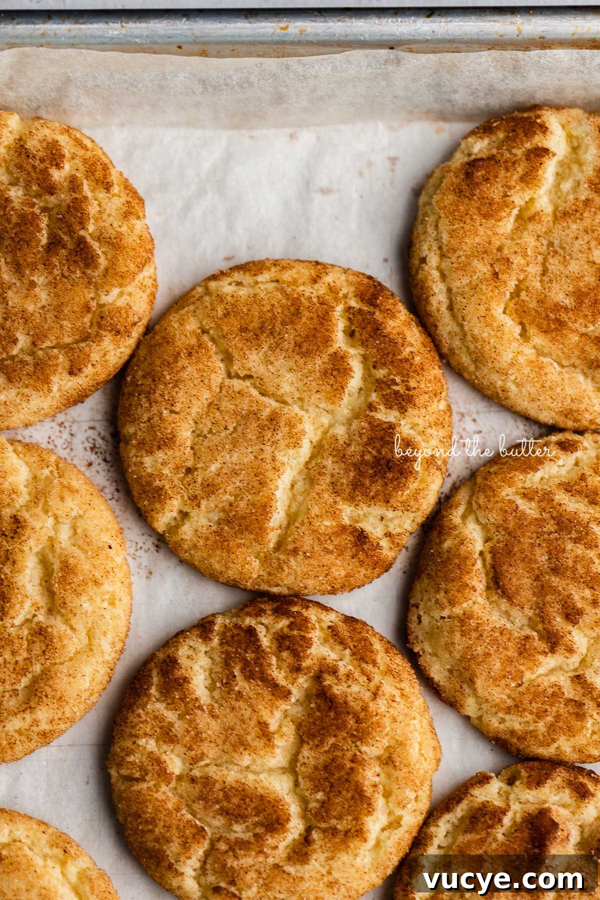 Classic Chewy Snickerdoodle Cookie Recipe for Perfect Cinnamon Cookies 8 Classic snickerdoodle cookies on a parchment paper lined baking sheet | © Beyond the Butter®