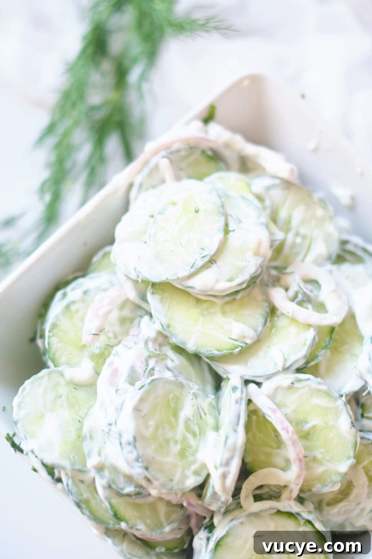 Creamy Cucumber Salad Recipe with Dill and Greek Yogurt 2 Creamy cucumber salad