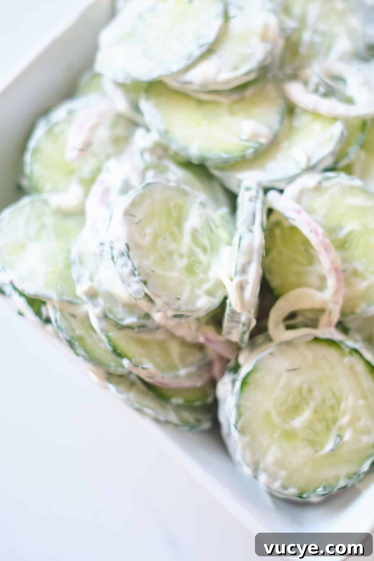 Creamy Cucumber Salad Recipe with Dill and Greek Yogurt 4 Creamy cucumber salad close-up