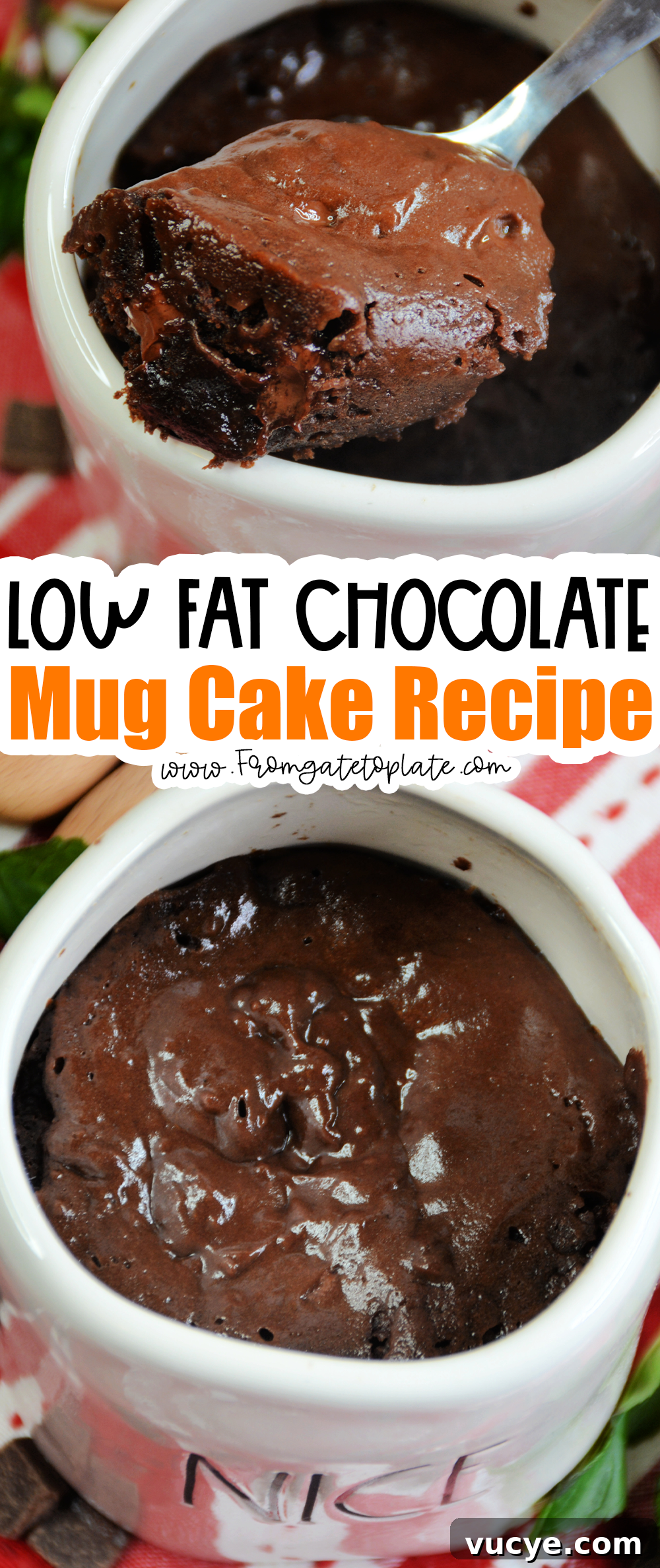 One-Minute Chocolate Mug Cake Recipe 11 Skinny Chocolate Mug Cake