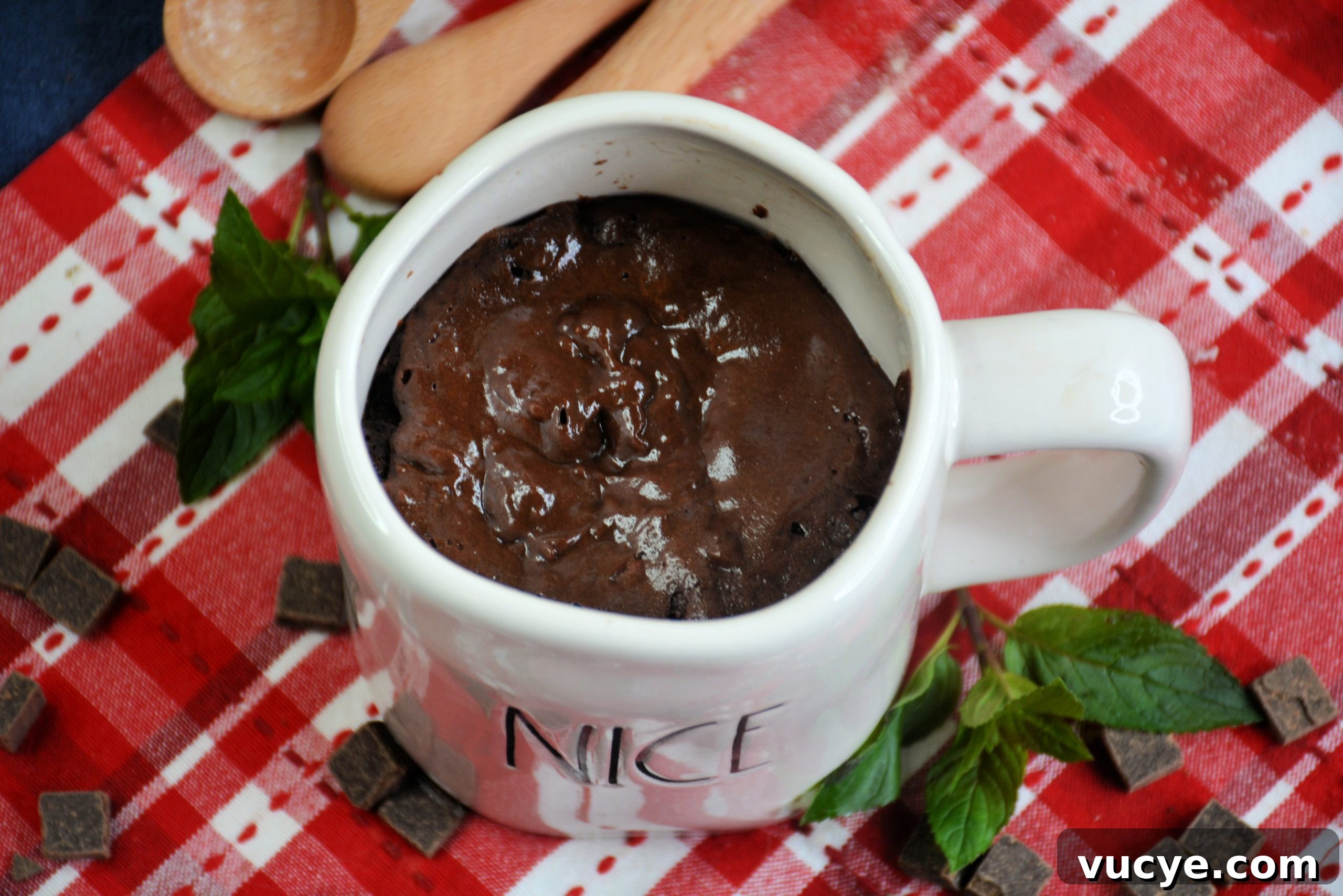 One-Minute Chocolate Mug Cake Recipe 9 Skinny Chocolate Mug Cake