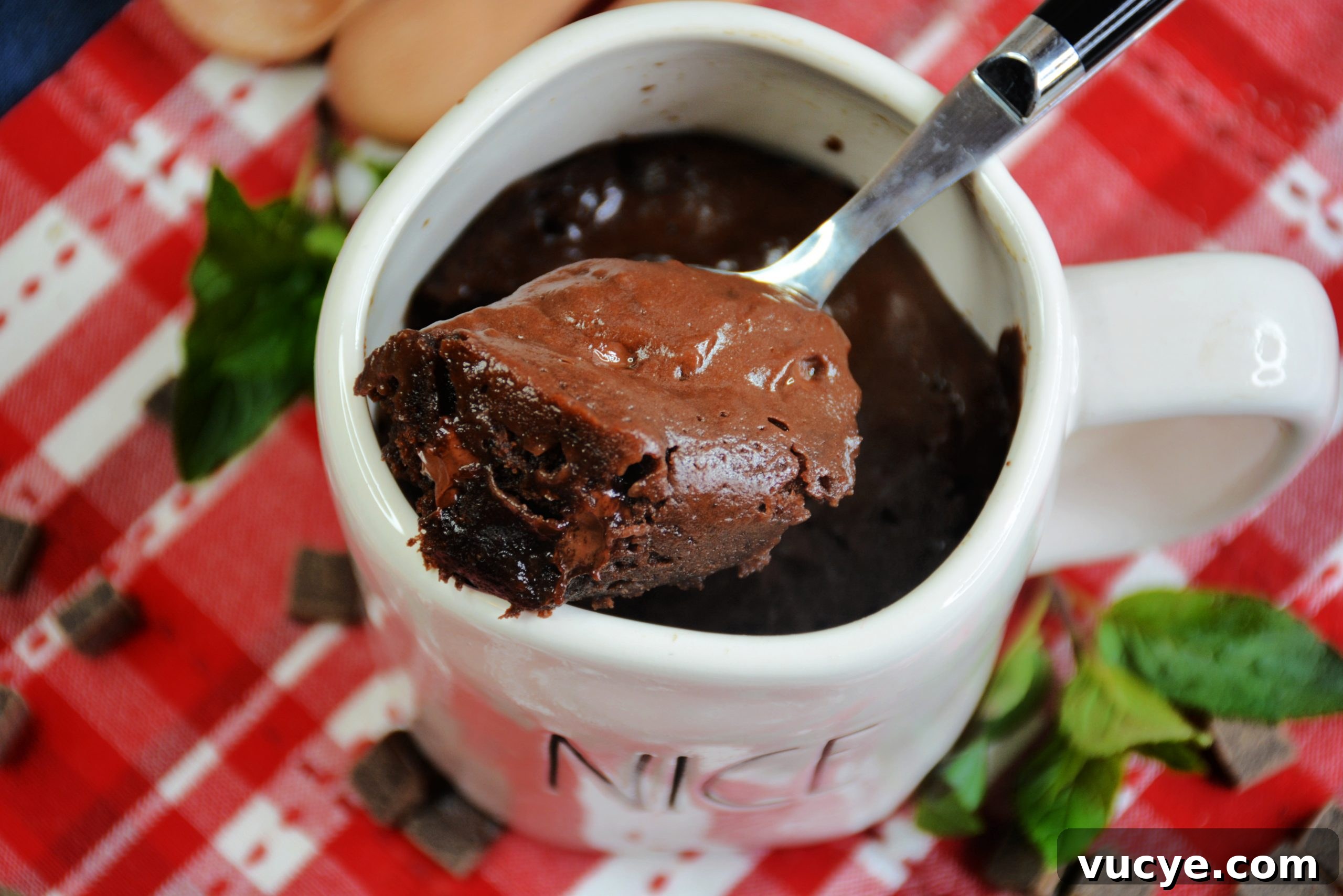 One-Minute Chocolate Mug Cake Recipe 10 Skinny Chocolate Mug Cake