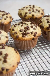Brown Butter Coffee Cake Recipe with Crispy Crumb Topping 10 Coconut Chocolate Chip Muffins