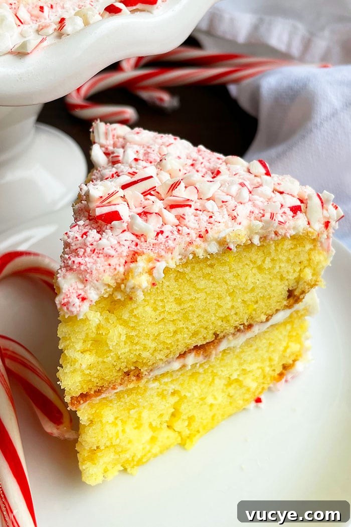 Peppermint Candy Cane Cake Recipe for the Holidays 2 Slice of Easy Peppermint Cake On White Plate