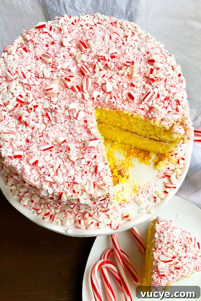 Peppermint Candy Cane Cake Recipe for the Holidays 3 Christmas Cake With Peppermint Icing With One Slice Removed- Overhead Shot