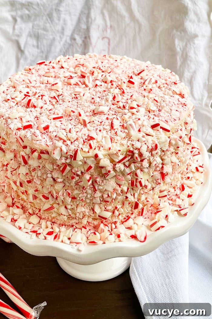 Peppermint Candy Cane Cake Recipe for the Holidays 4 Easy Christmas Candy Cane Cake on White Cake Stand