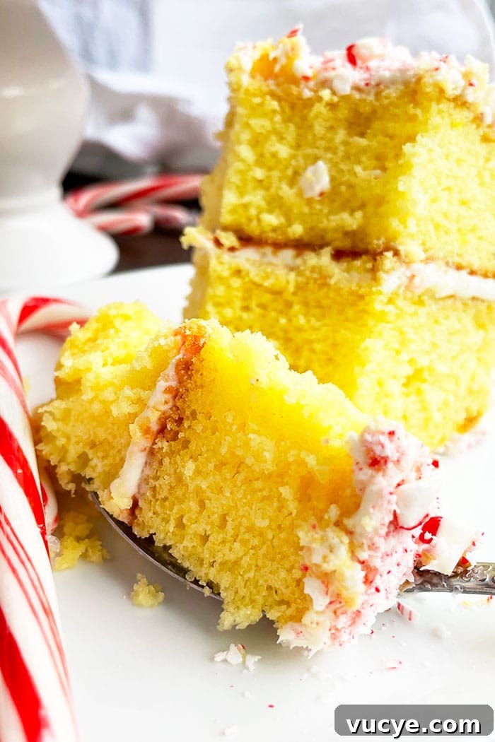 Peppermint Candy Cane Cake Recipe for the Holidays 5 Spoonful of Vanilla Cake With Crushed Candy Canes