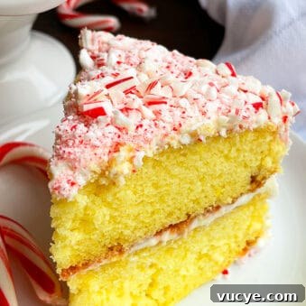Peppermint Candy Cane Cake Recipe for the Holidays 8 Slice of Easy Peppermint Cake on White Plate