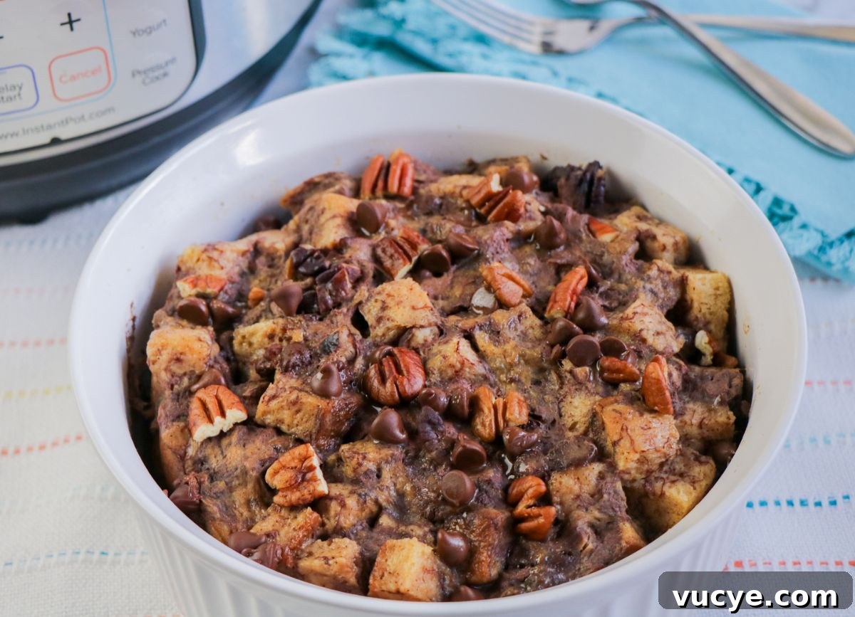 Creamy Instant Pot Bread Pudding Recipe for Any Occasion 2 A bowl of chocolate bread pudding.
