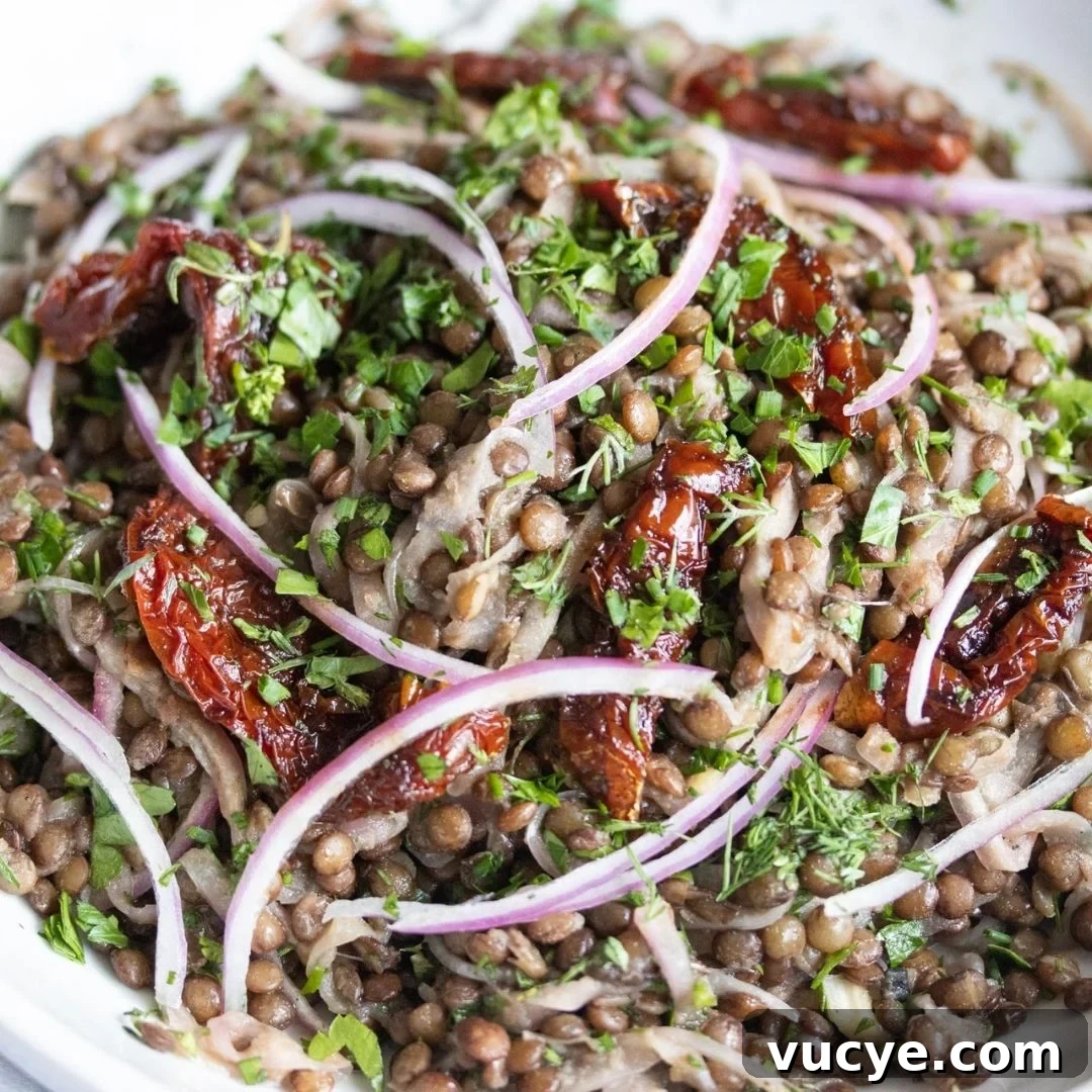 Lentils With Sun-Dried Tomatoes, Onion And Fresh Herbs Lentils With Sun-Dried Tomatoes, Onion And Fresh Herbs