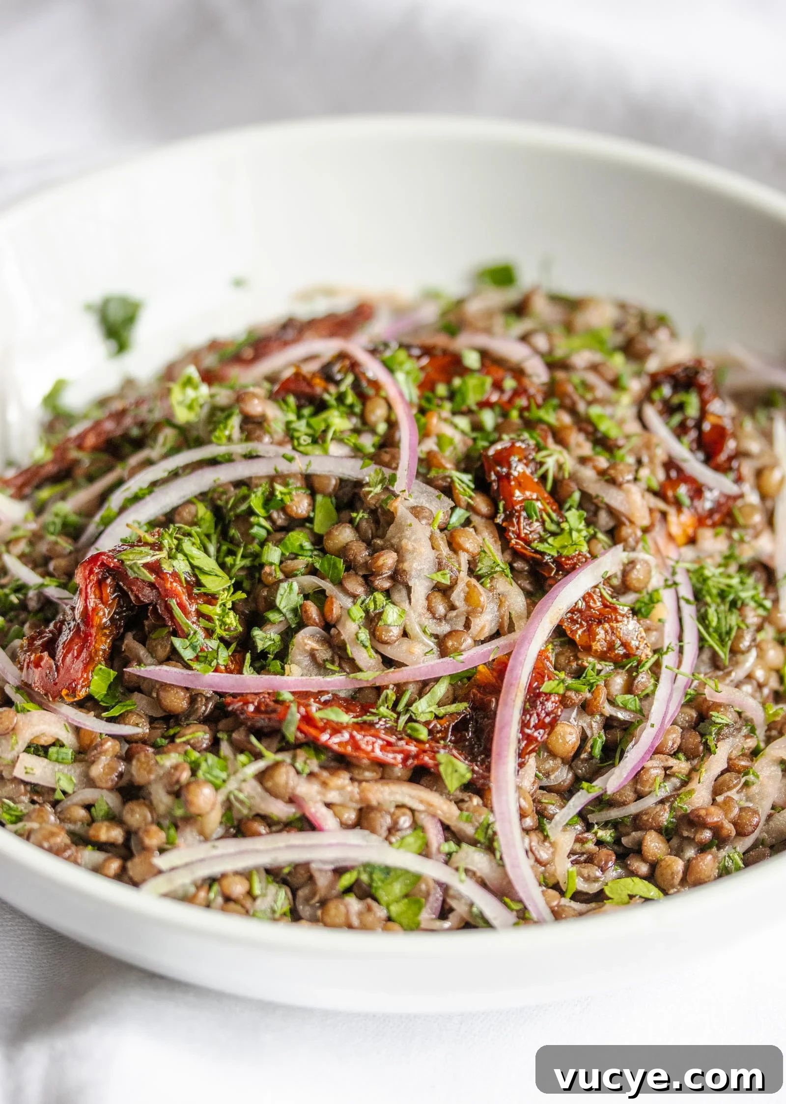 Lentils With Sun-Dried Tomatoes, Onion And Fresh Herbs lentils with sun-dried tomatoes, onion and fresh herbs