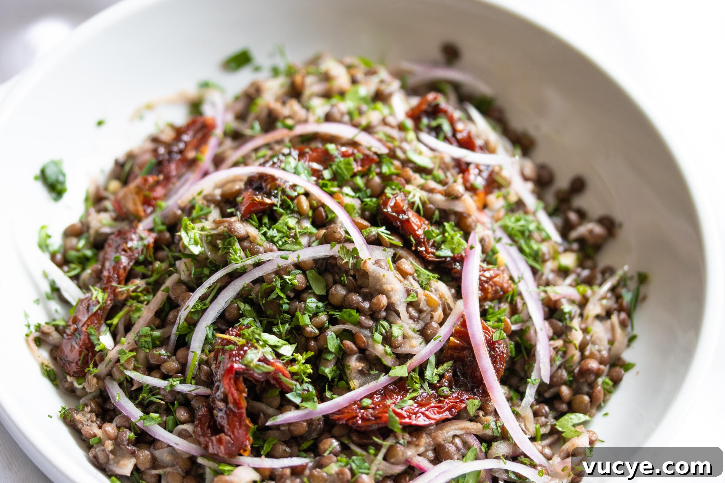 Lentils With Sun-Dried Tomatoes, Onion And Fresh Herbs Lentils With Sun-Dried Tomatoes, Onion And Fresh Herbs