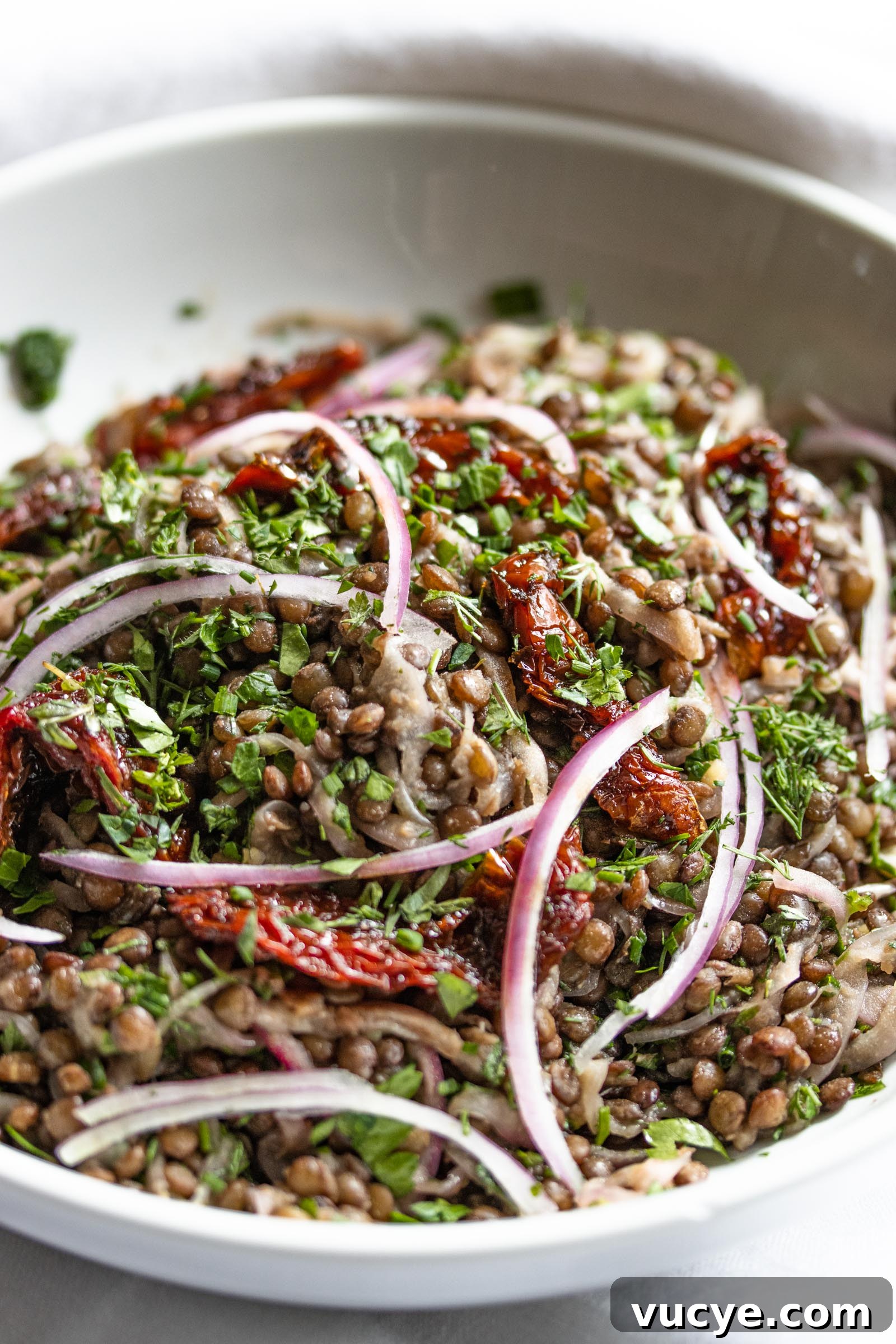 Sun-Dried Tomato Lentil Salad with Red Onion and Fresh Herbs 2 Lentils Salad with Sun-Dried Tomatoes, Onion and Fresh Herbs