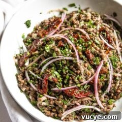 Sun-Dried Tomato Lentil Salad with Red Onion and Fresh Herbs 3 Lentils With Sun-Dried Tomatoes, Onion And Fresh Herbs