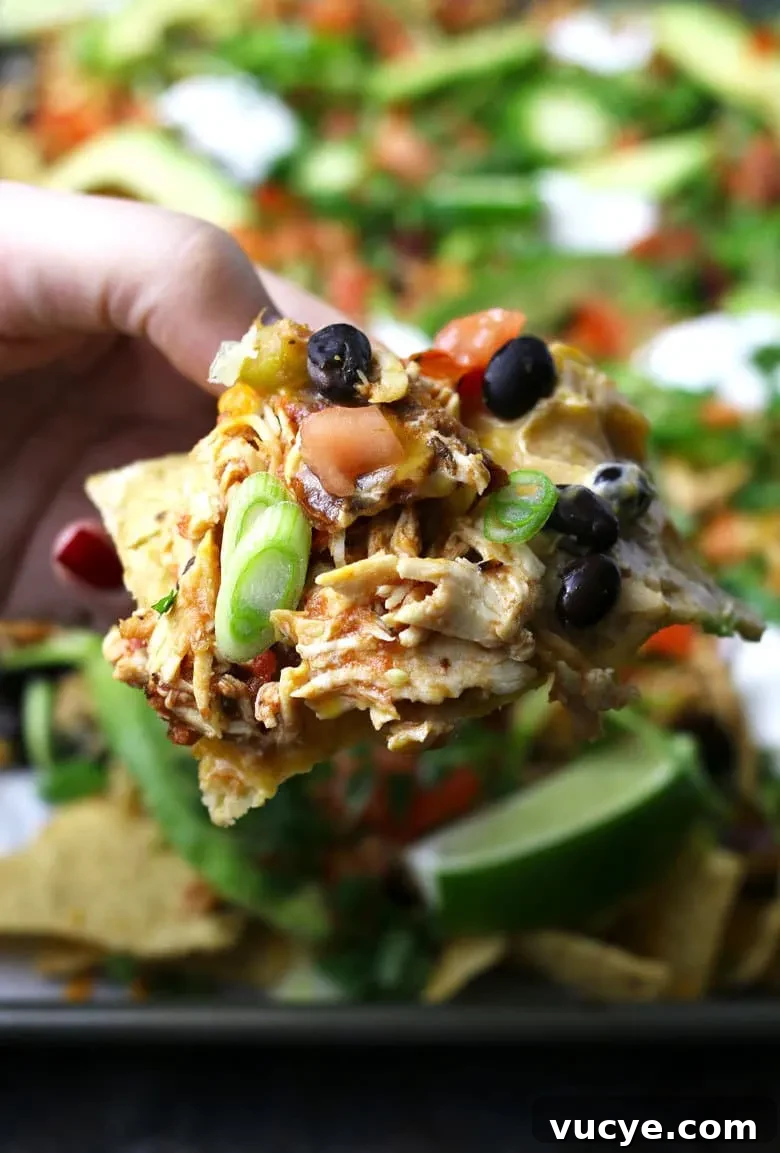 Sheet Pan Chicken Nachos with Loaded Toppings 8 single portion of loaded chicken nachos