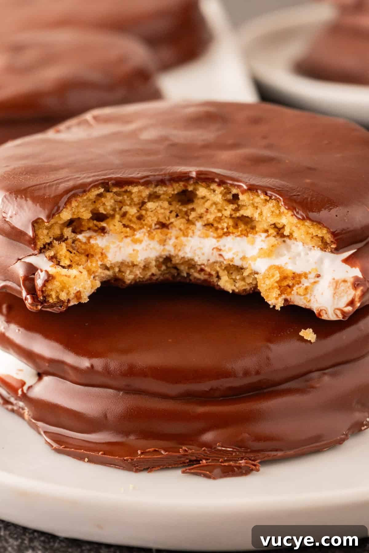 close up of moon pie.