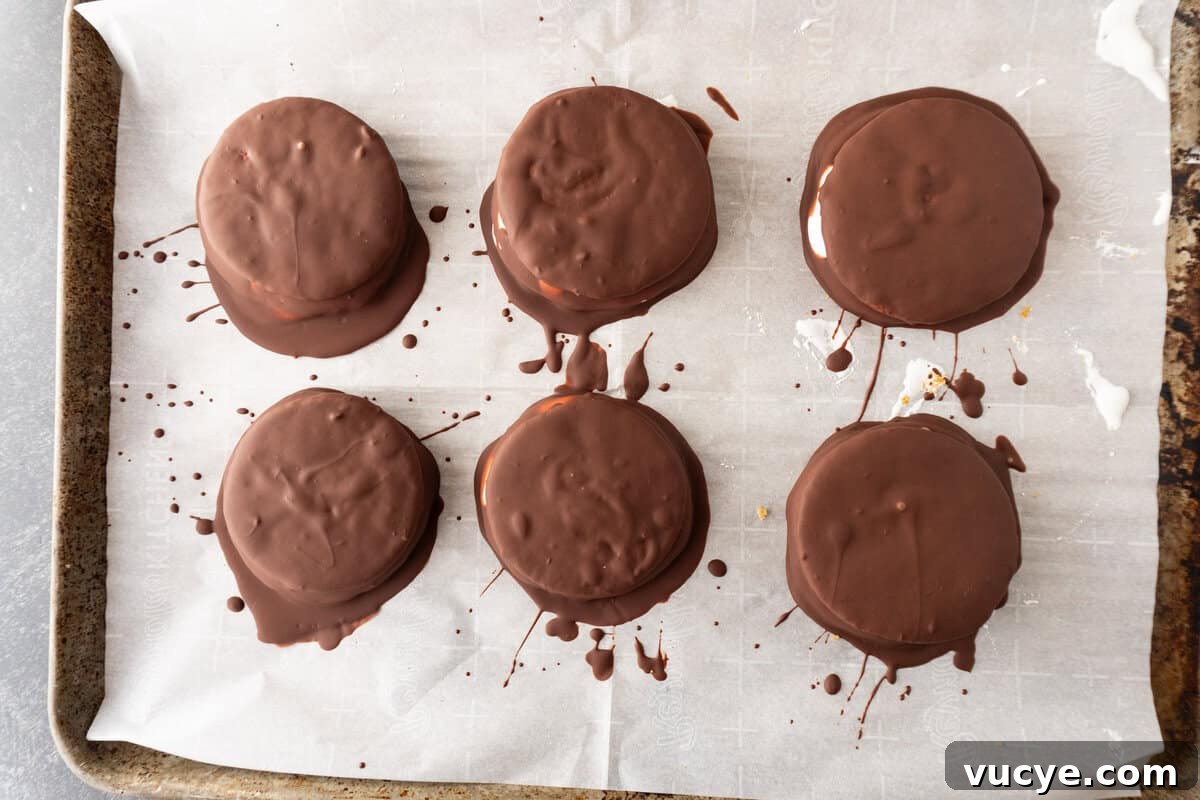moon pies dipped in chocolate and on baking sheet.