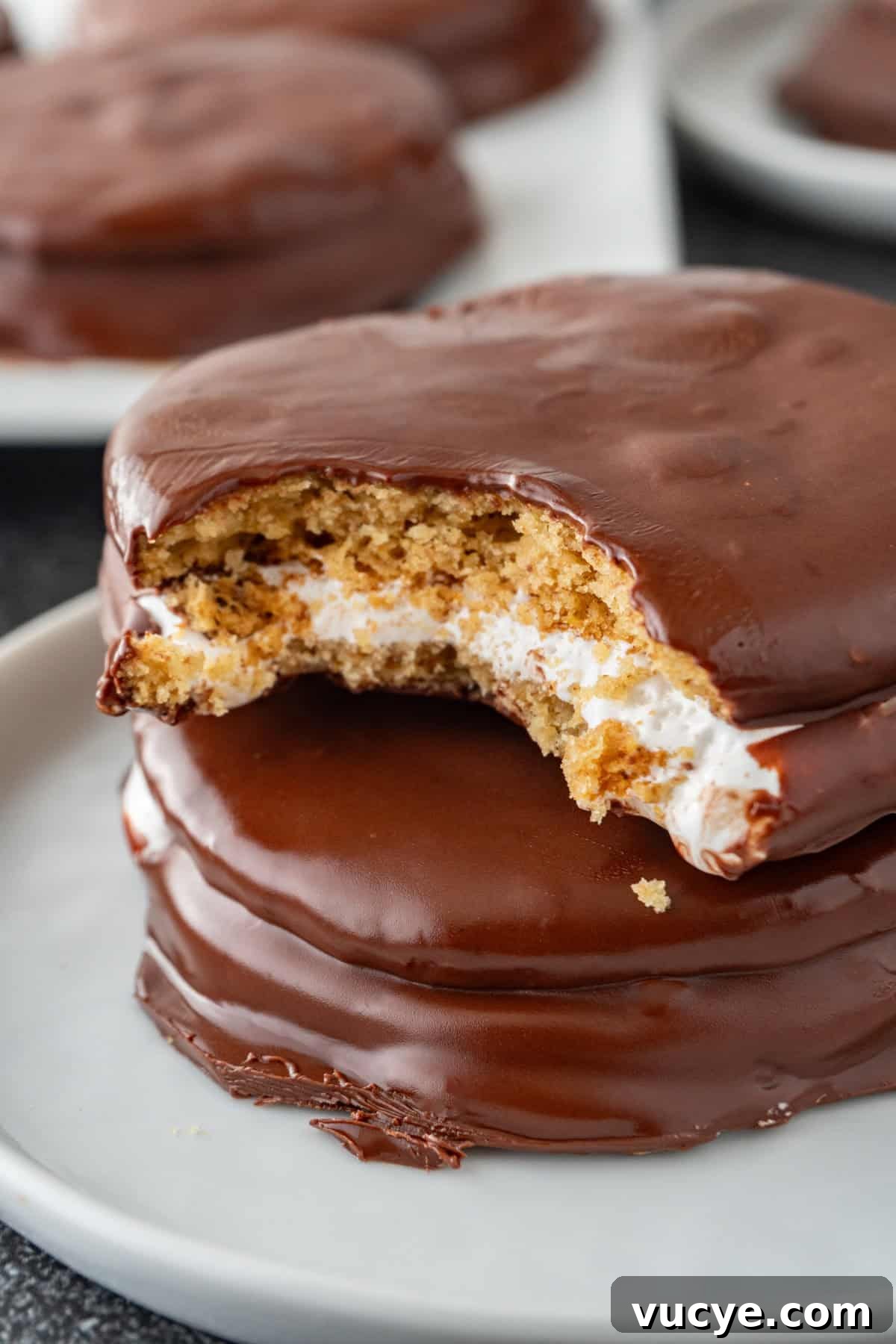 moon pie with bite taken out.