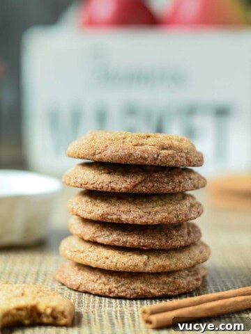 Close-up of a stack of apple cider cookies.