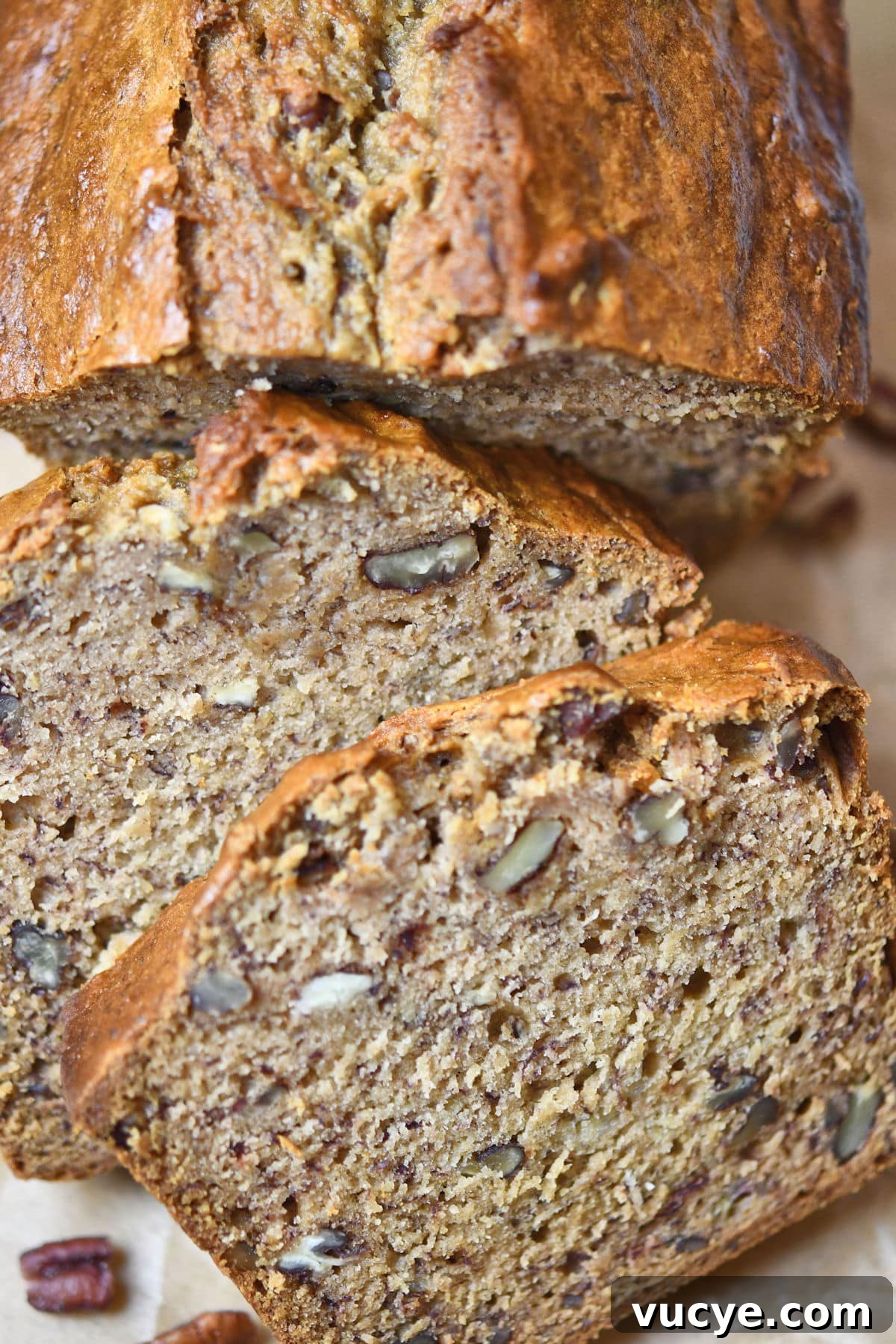 Dairy Free Banana Bread with No Eggs Vegan Recipe by Christian Guzman