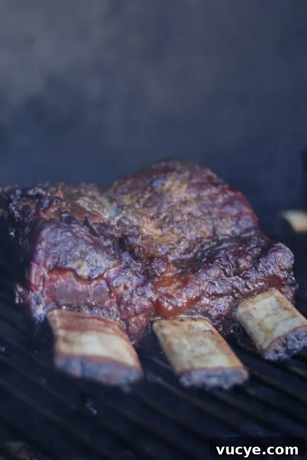 Smoked Beef Short Ribs Recipe: Tender, Flavor-Packed Smoking Guide 5 ribs in smoker
